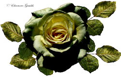 Rose12_0212Mini