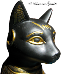 Bastet01Mini_Eleonore_0212