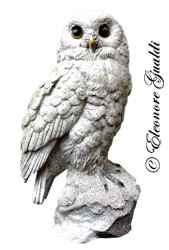 Schneeeule01_T1119Mini