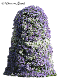 Blumenturm_0412Mini