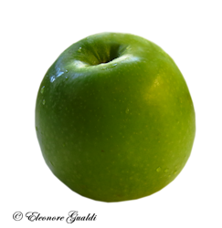 Apfel_gruen_T0715Mini