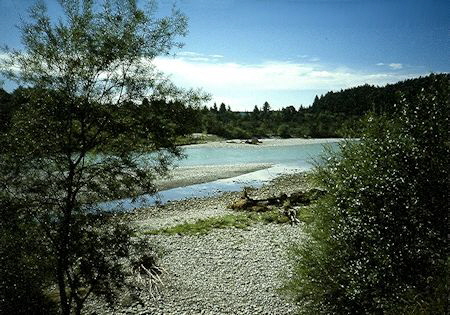 MV0005