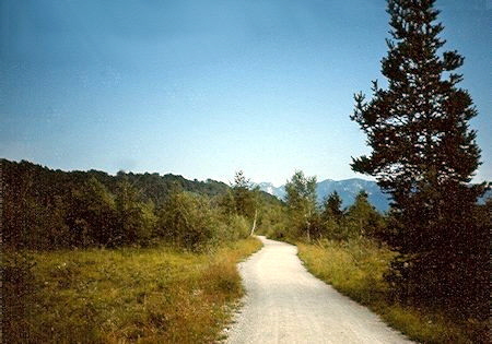 MV0017